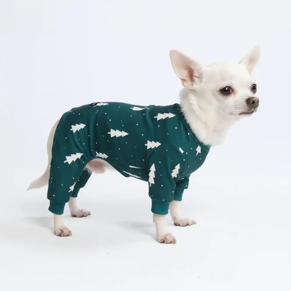 sparkpawsmaut.com