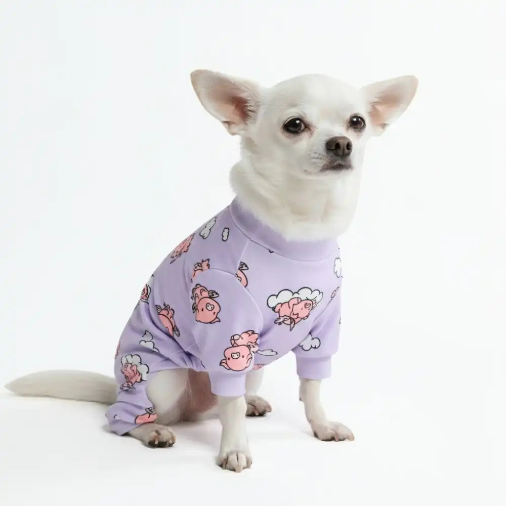 sparkpawsmaut.com