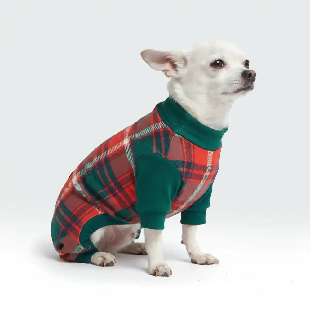 sparkpawsmaut.com