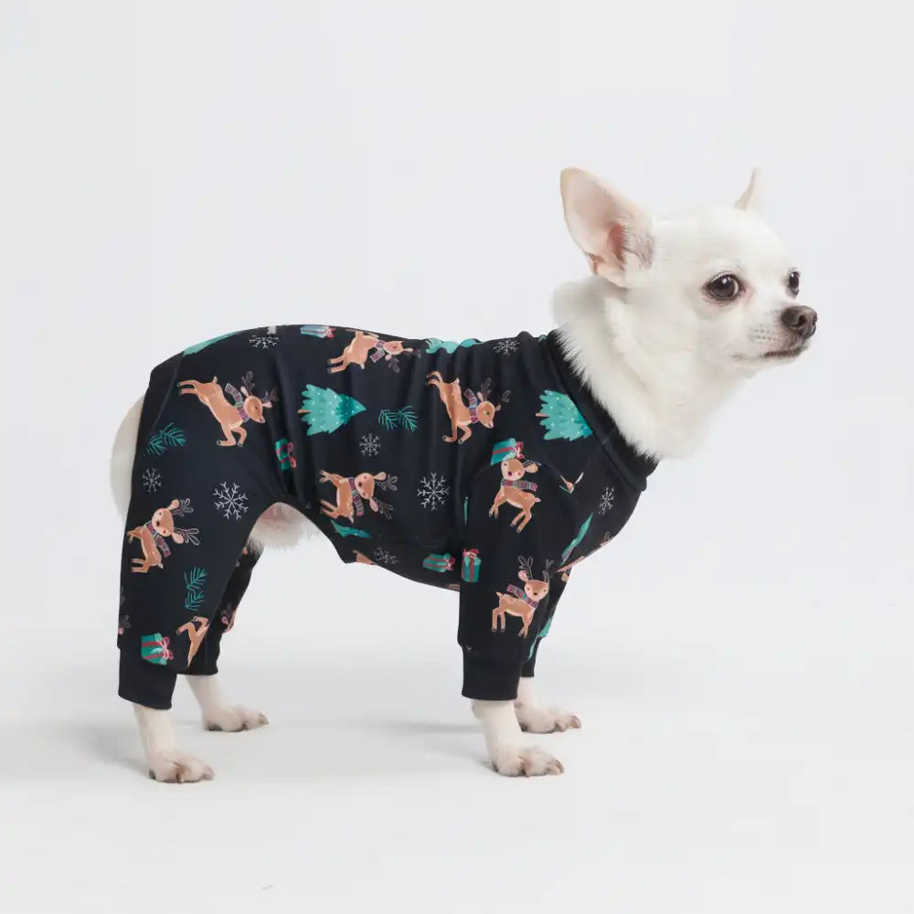 sparkpawsmaut.com
