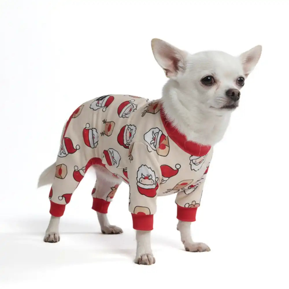 sparkpawsmaut.com