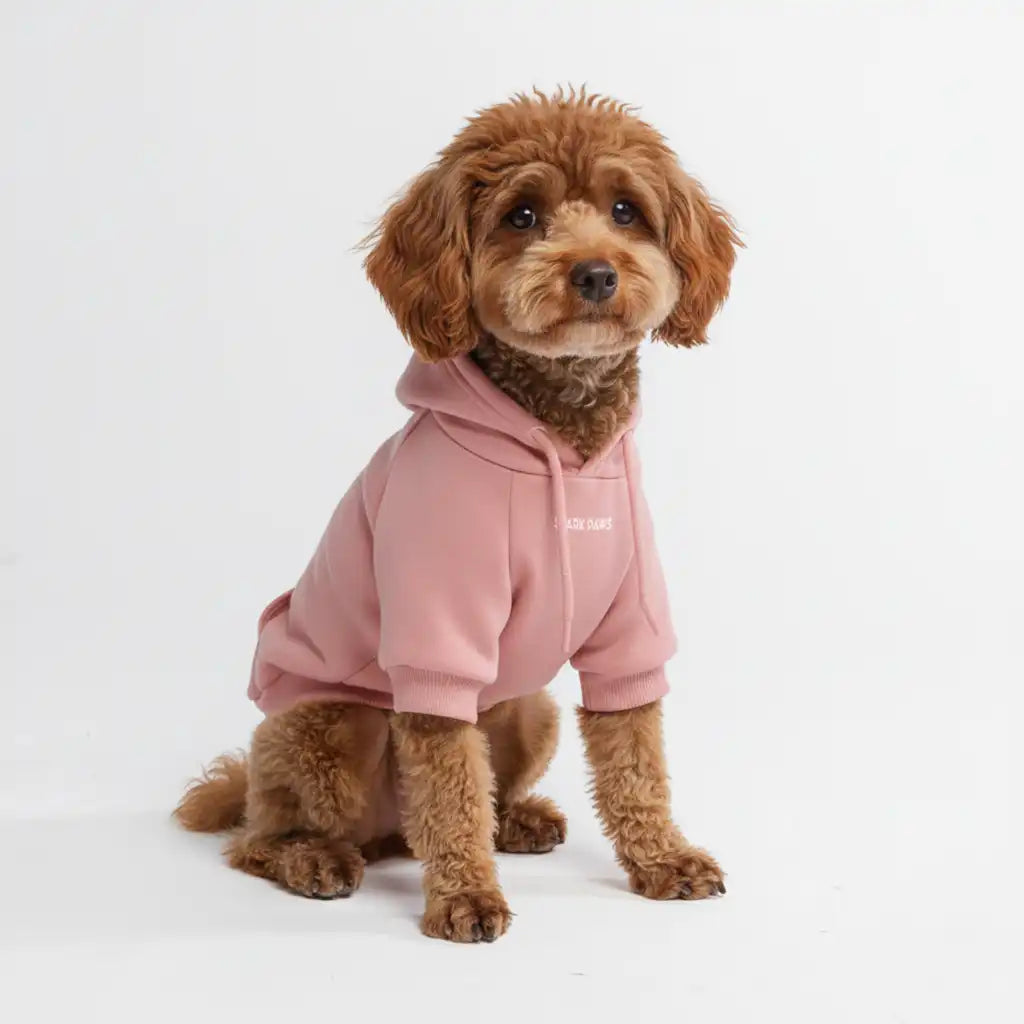sparkpawsmaut.com