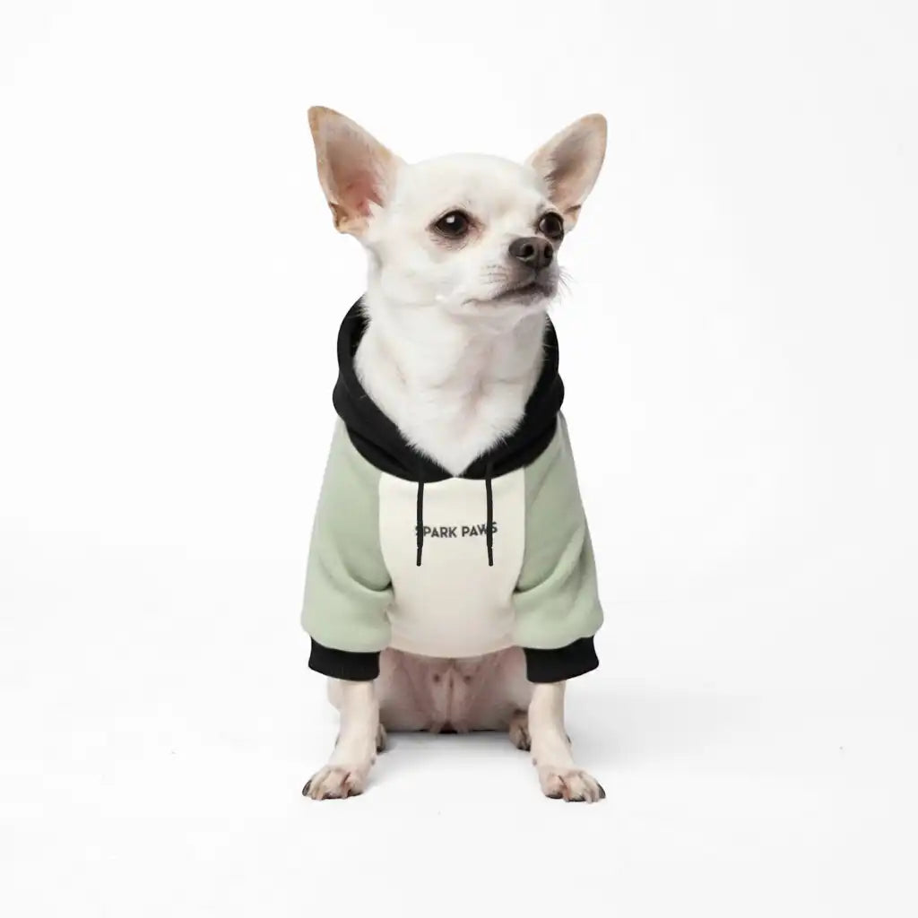 sparkpawsmaut.com