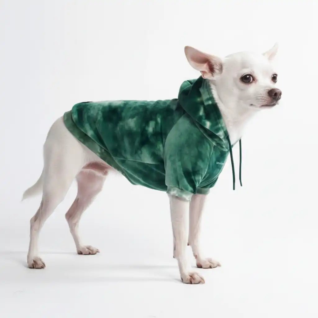 sparkpawsmaut.com