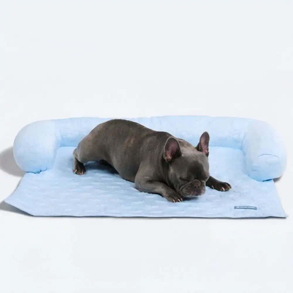 sparkpawsmaut.com