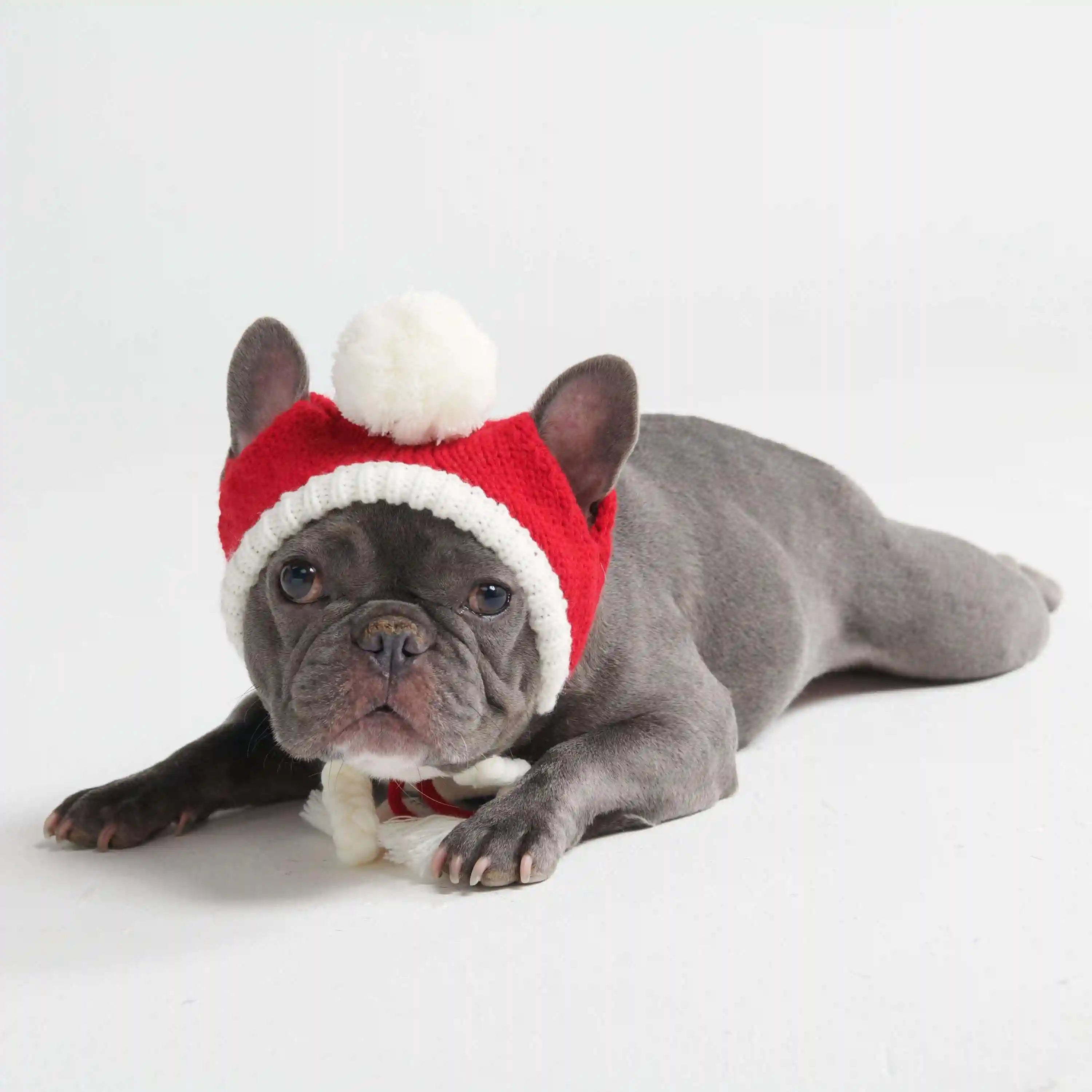 sparkpawsmaut.com