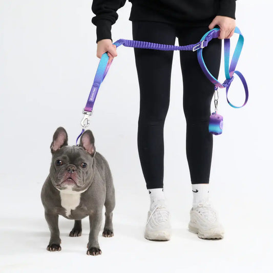 Multipurpose Seatbelt Handsfree Leash & Poop Bag Holder Set