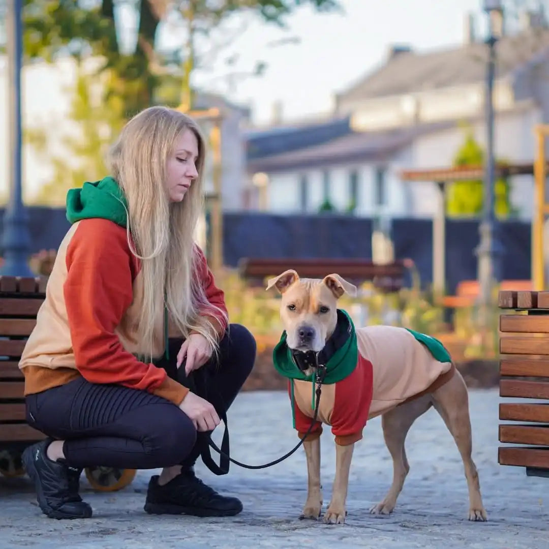 sparkpawsmaut.com