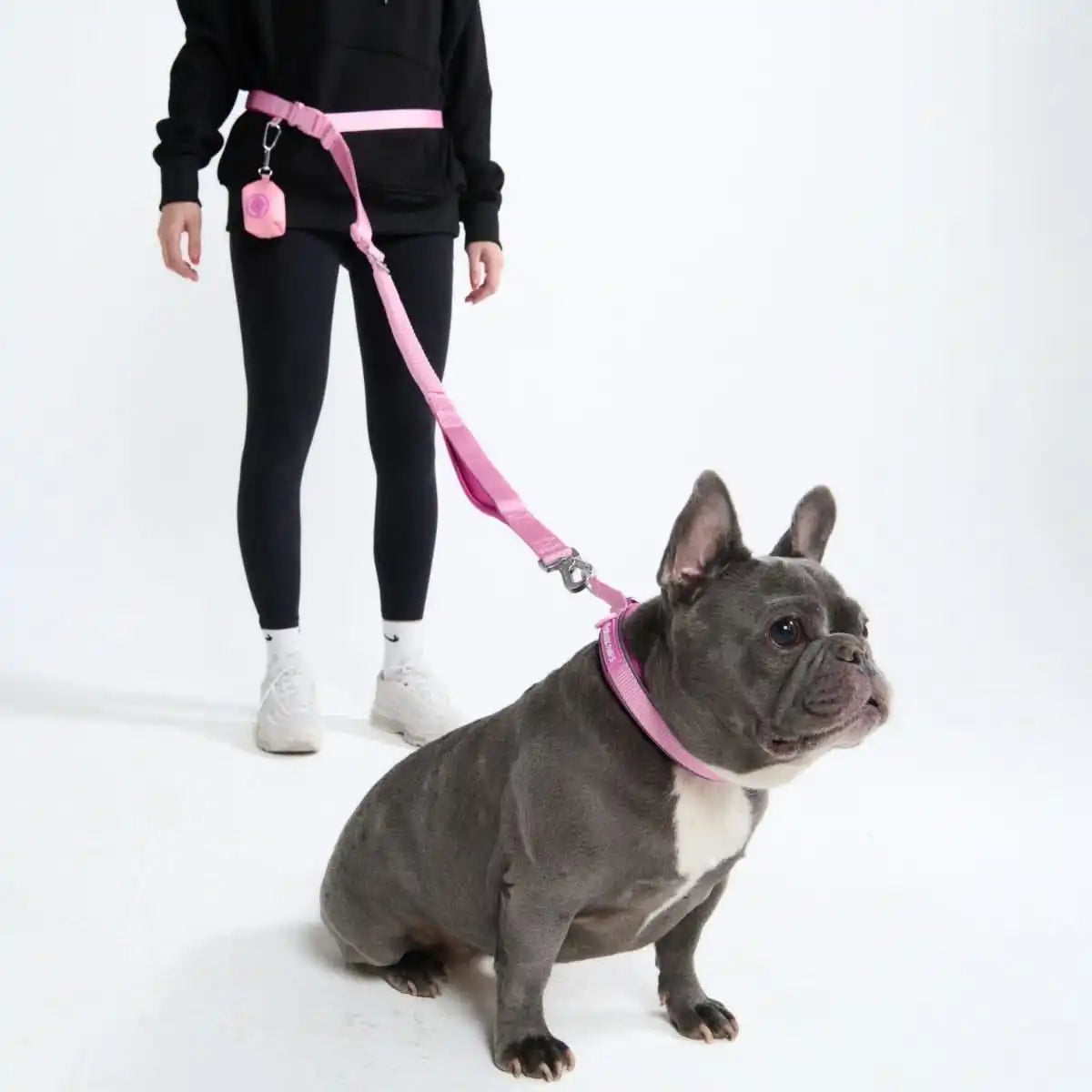 sparkpawsmaut.com
