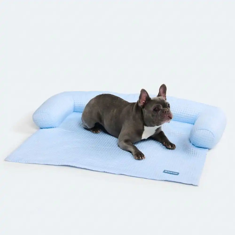 sparkpawsmaut.com