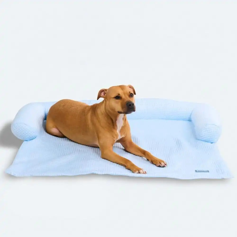 sparkpawsmaut.com