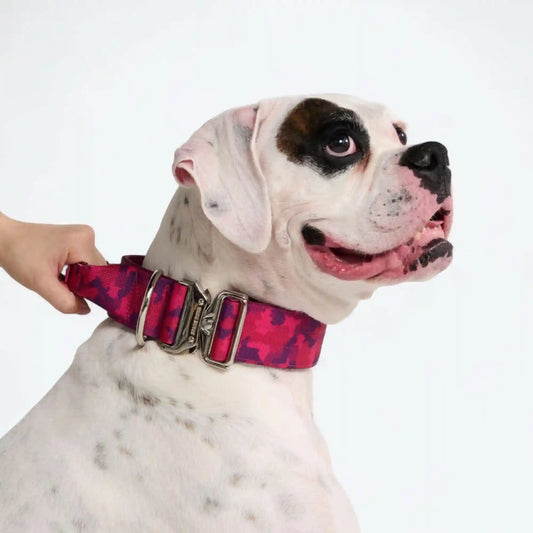 Comfort Control Collar - Fuchsia Camo