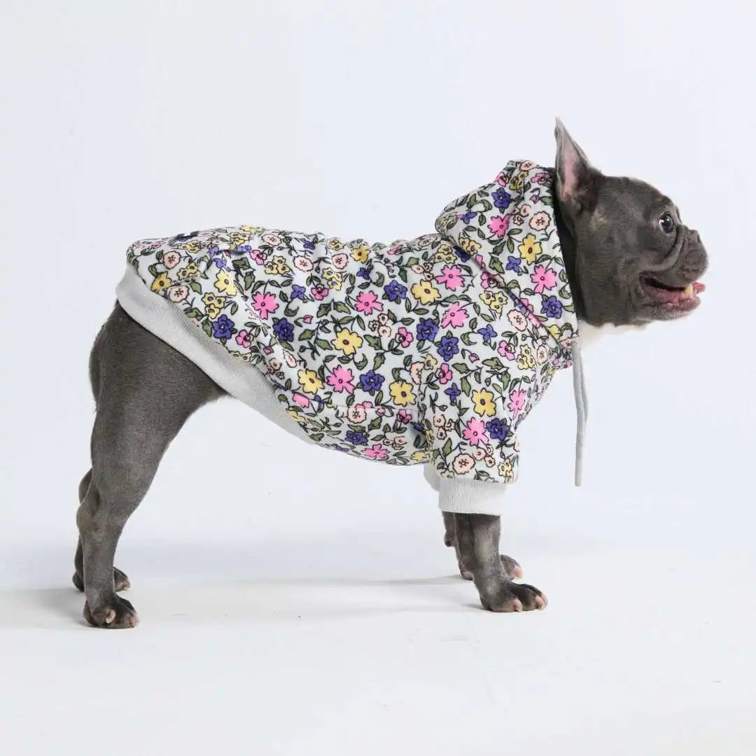 sparkpawsmaut.com