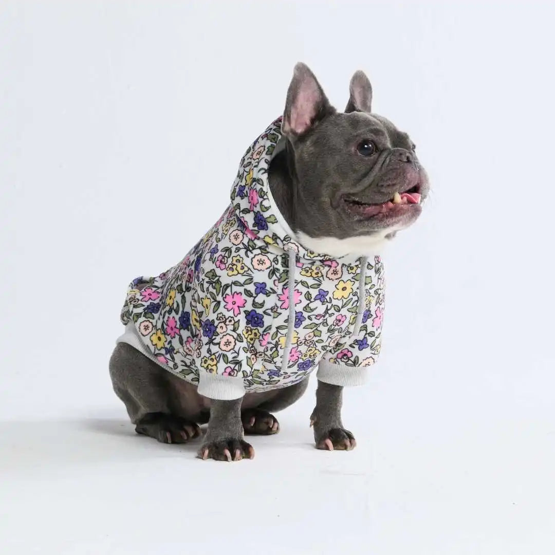 sparkpawsmaut.com