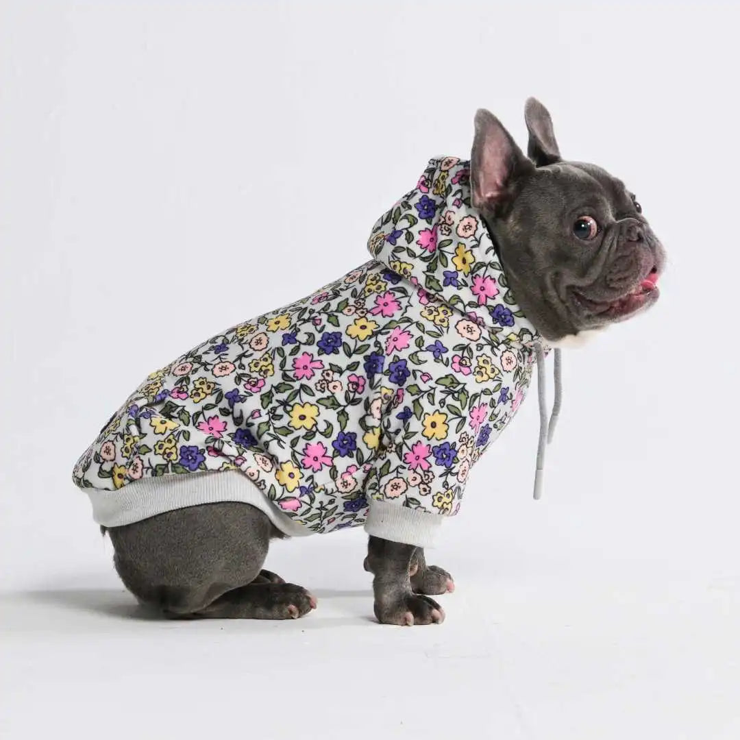 sparkpawsmaut.com