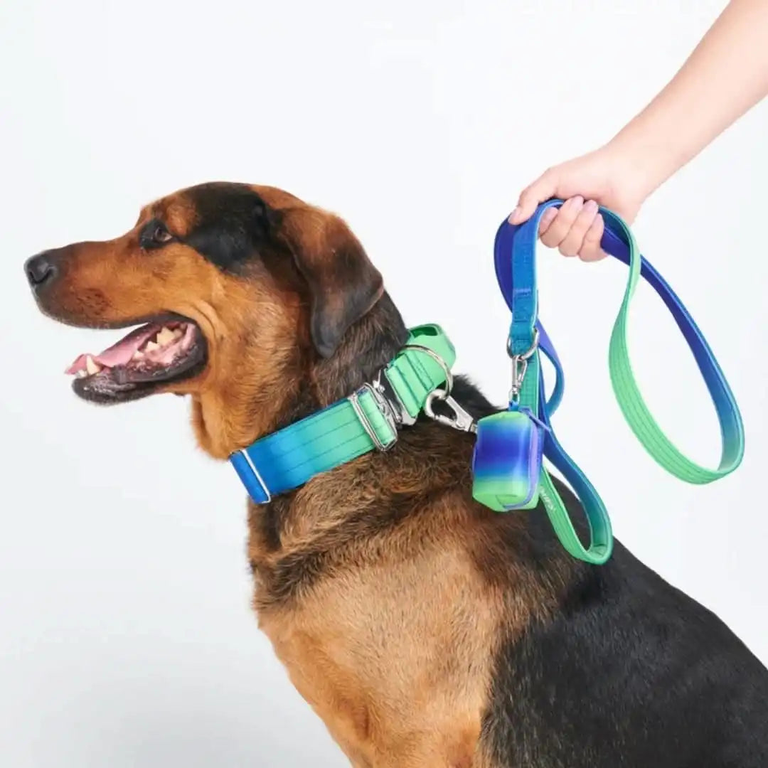 sparkpawsmaut.com