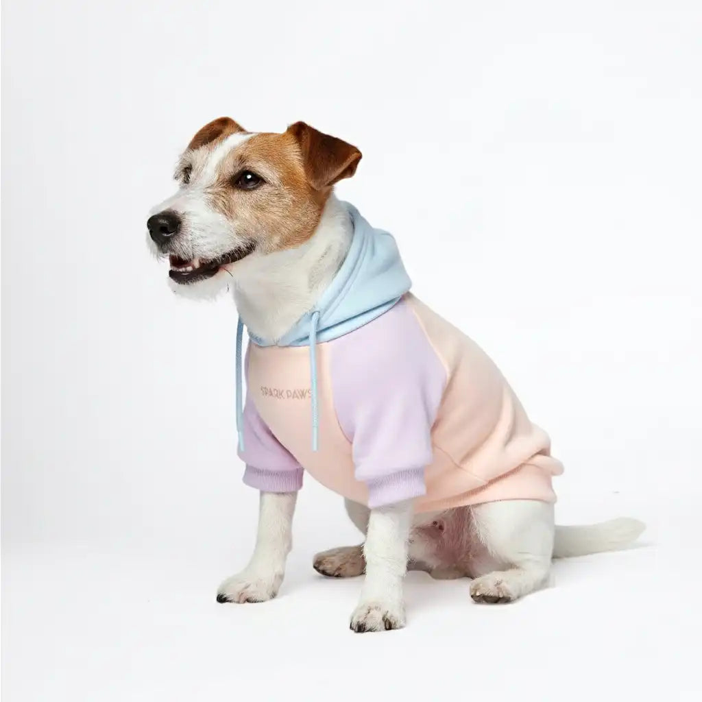 sparkpawsmaut.com