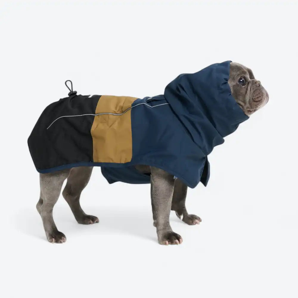 sparkpawsmaut.com