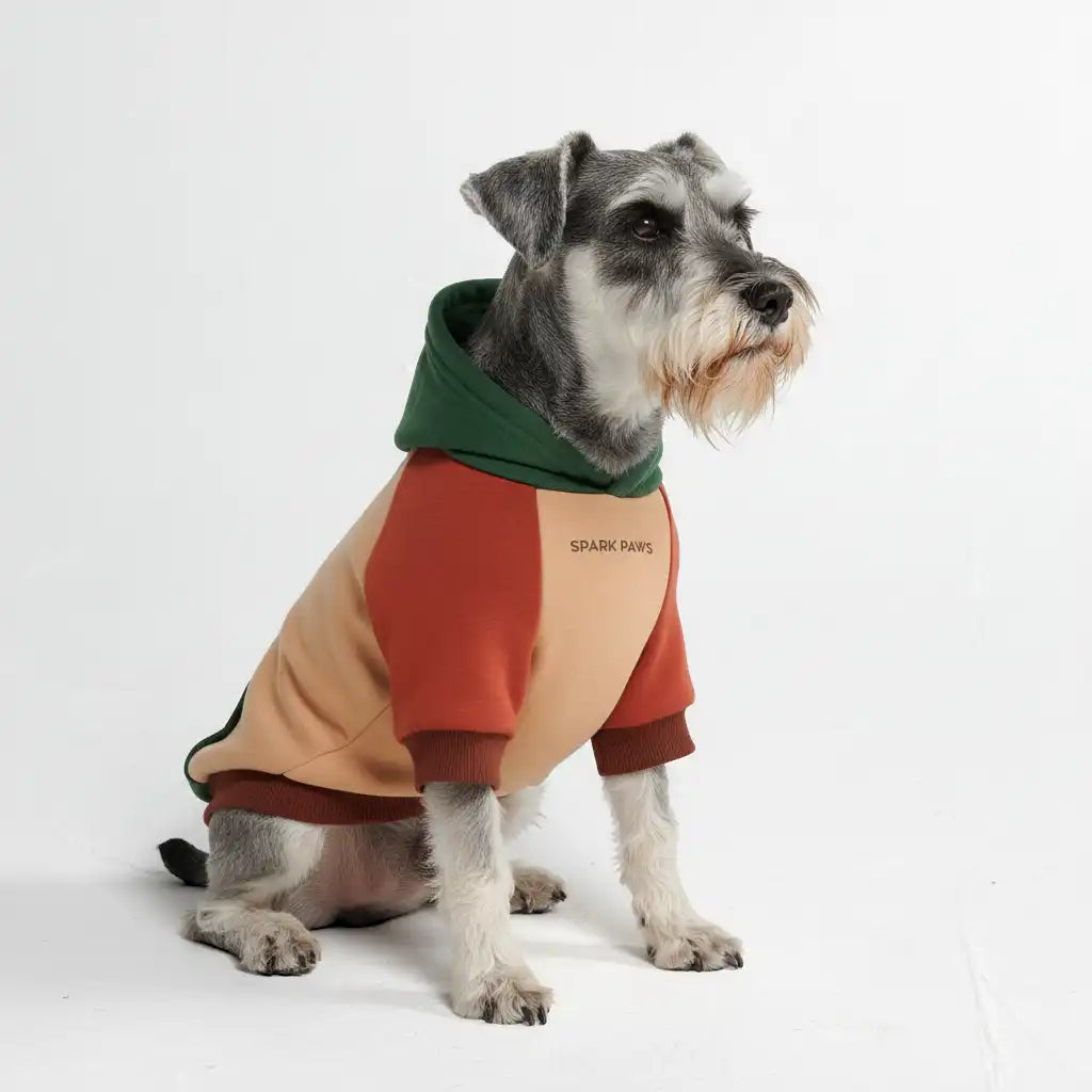 sparkpawsmaut.com