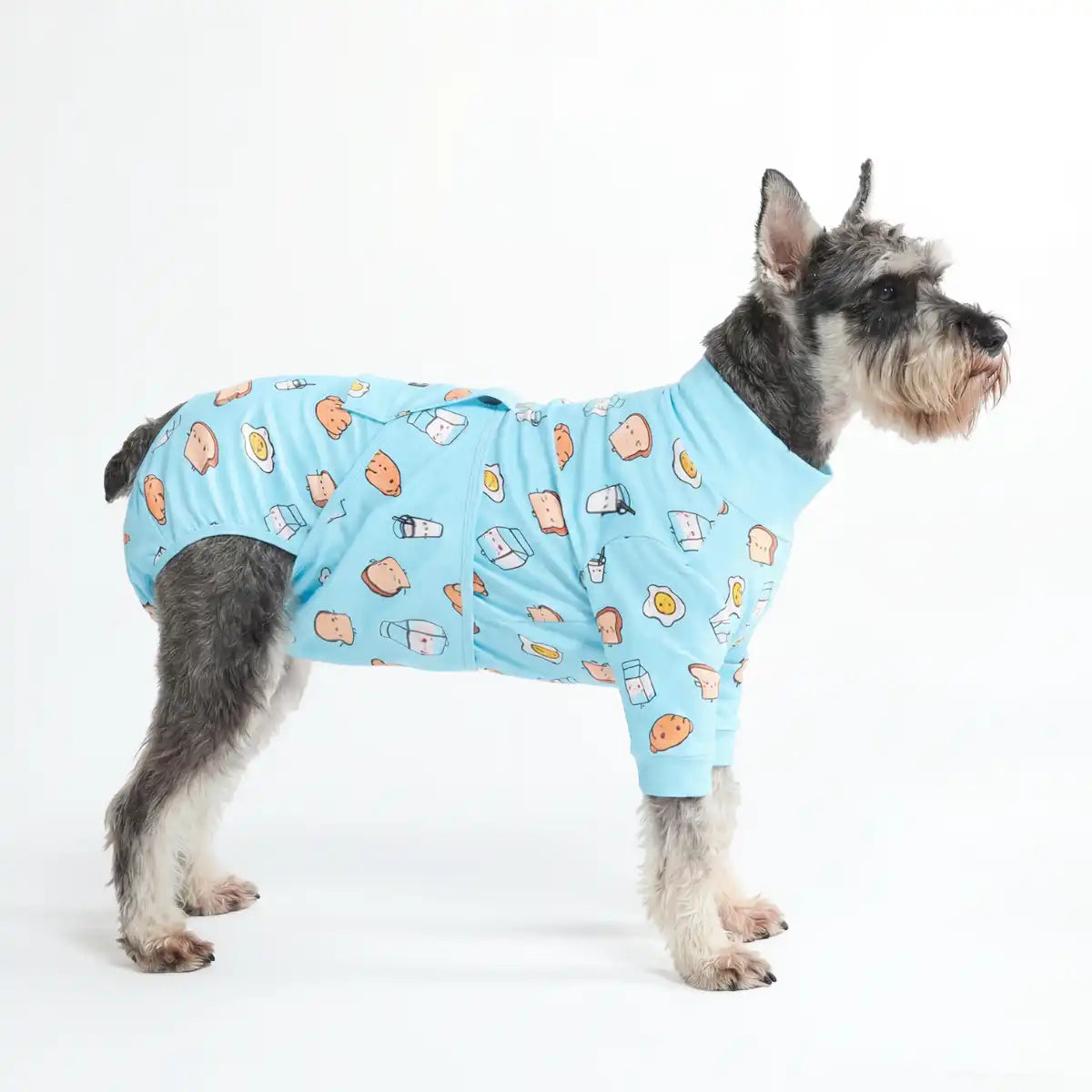 sparkpawsmaut.com