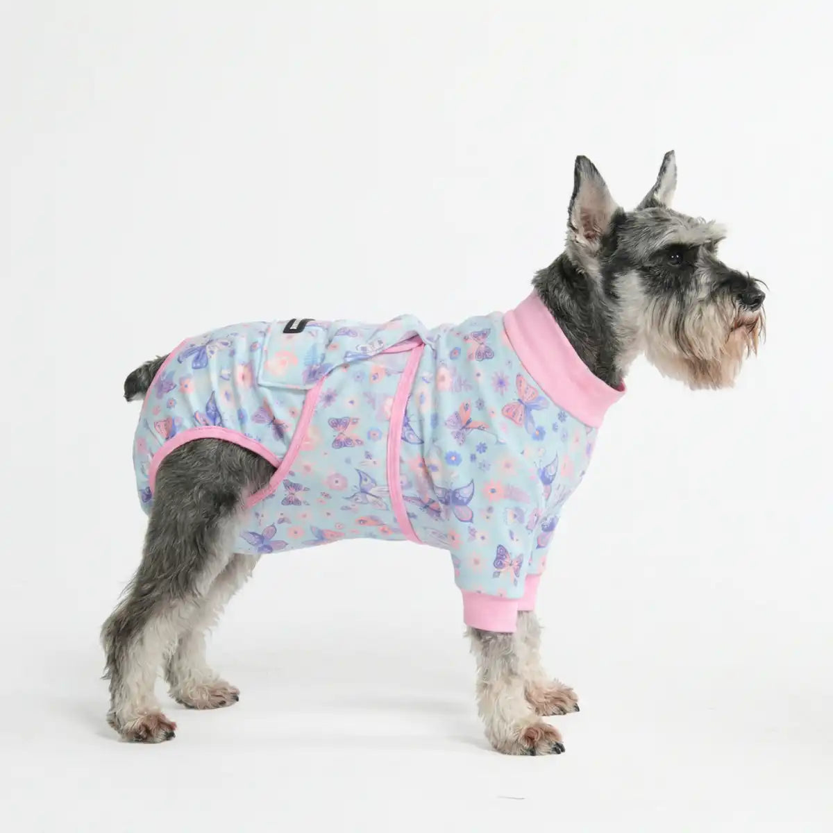 sparkpawsmaut.com