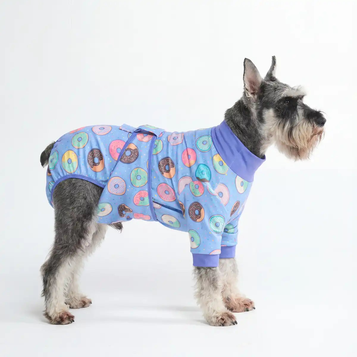 sparkpawsmaut.com
