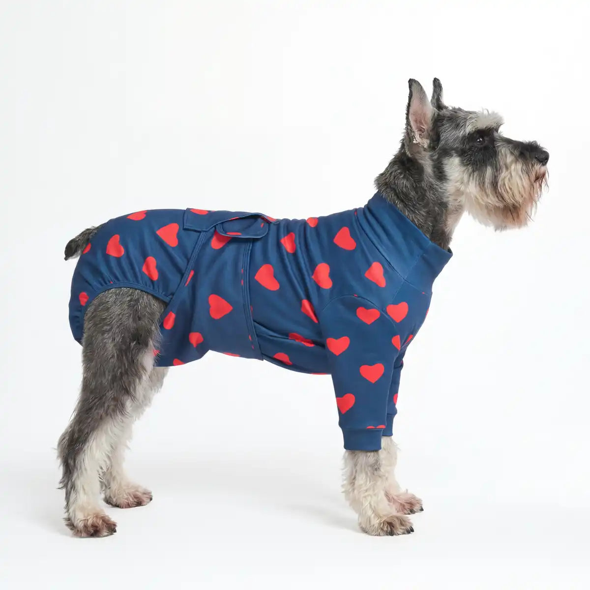 sparkpawsmaut.com
