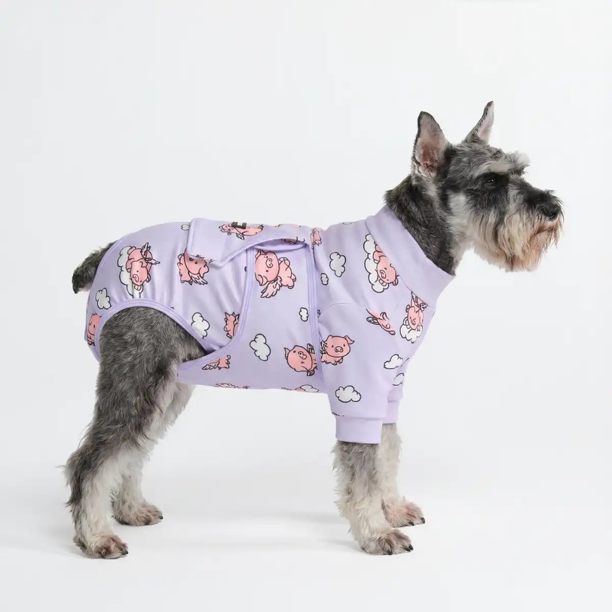 sparkpawsmaut.com
