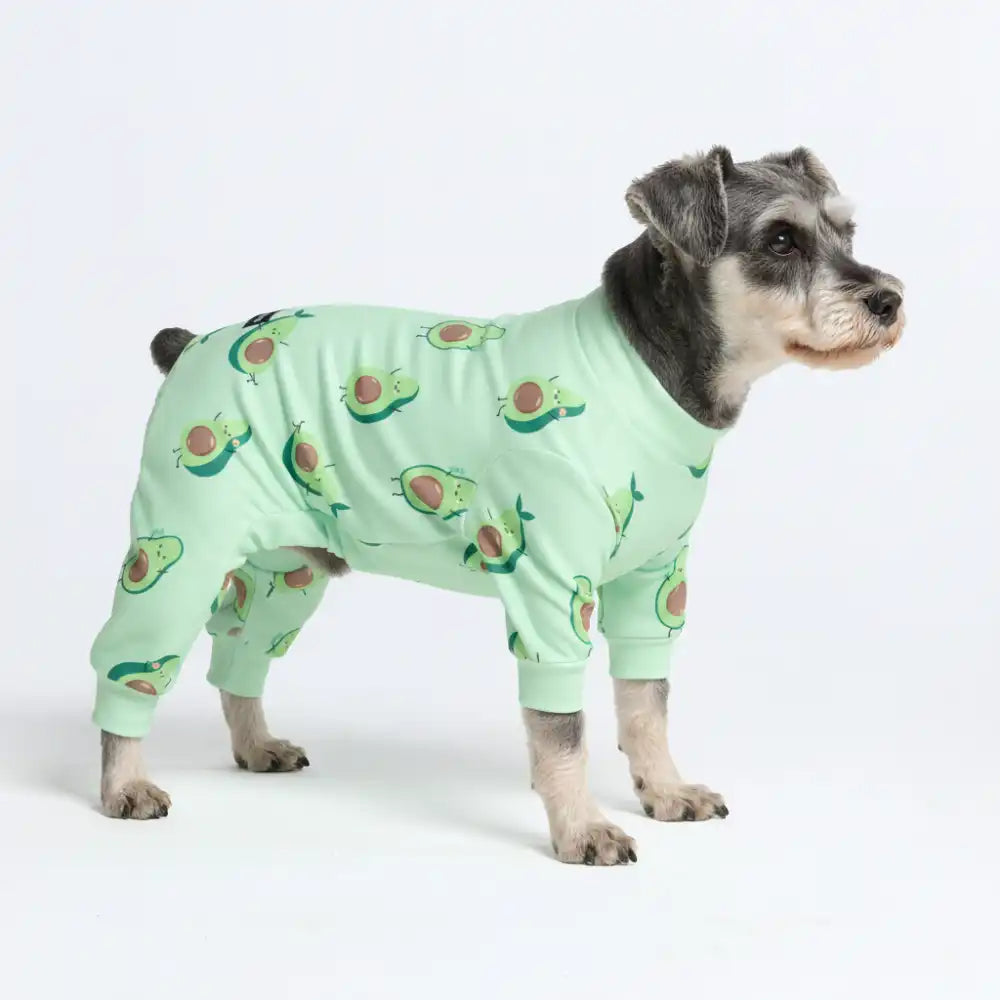 sparkpawsmaut.com