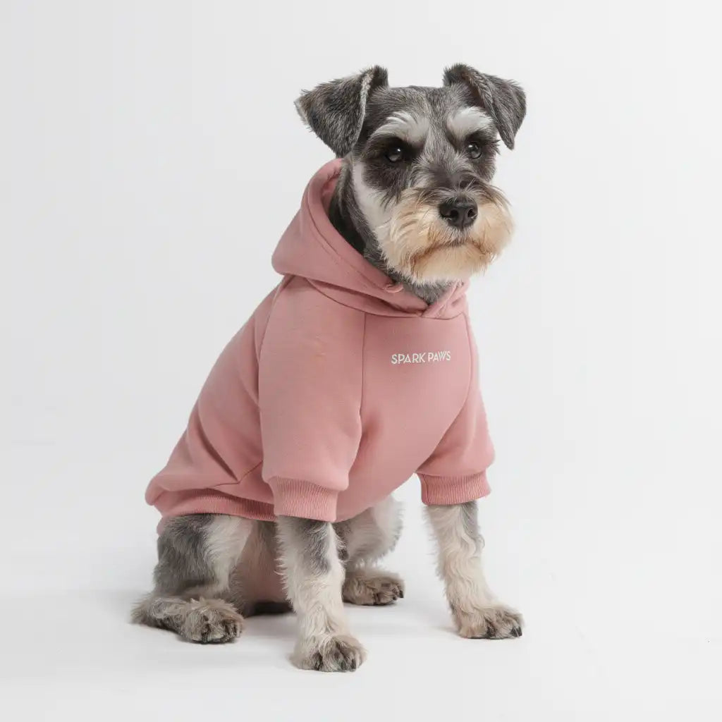 sparkpawsmaut.com