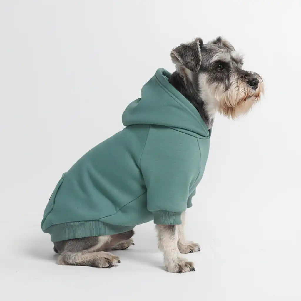 sparkpawsmaut.com
