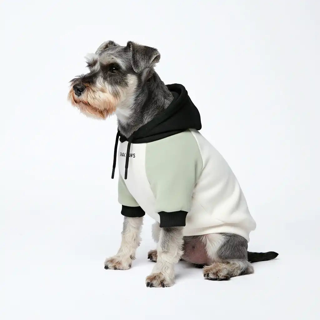 sparkpawsmaut.com