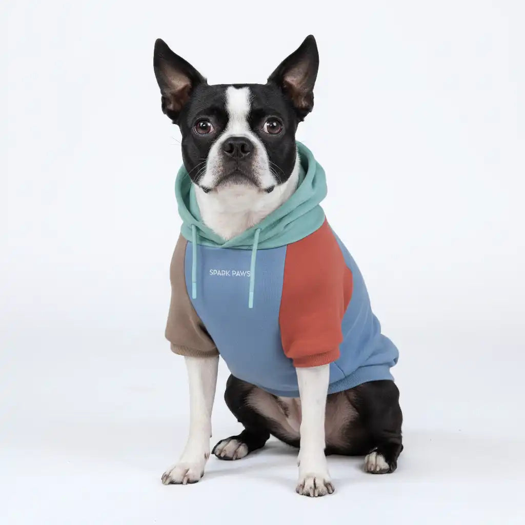 sparkpawsmaut.com