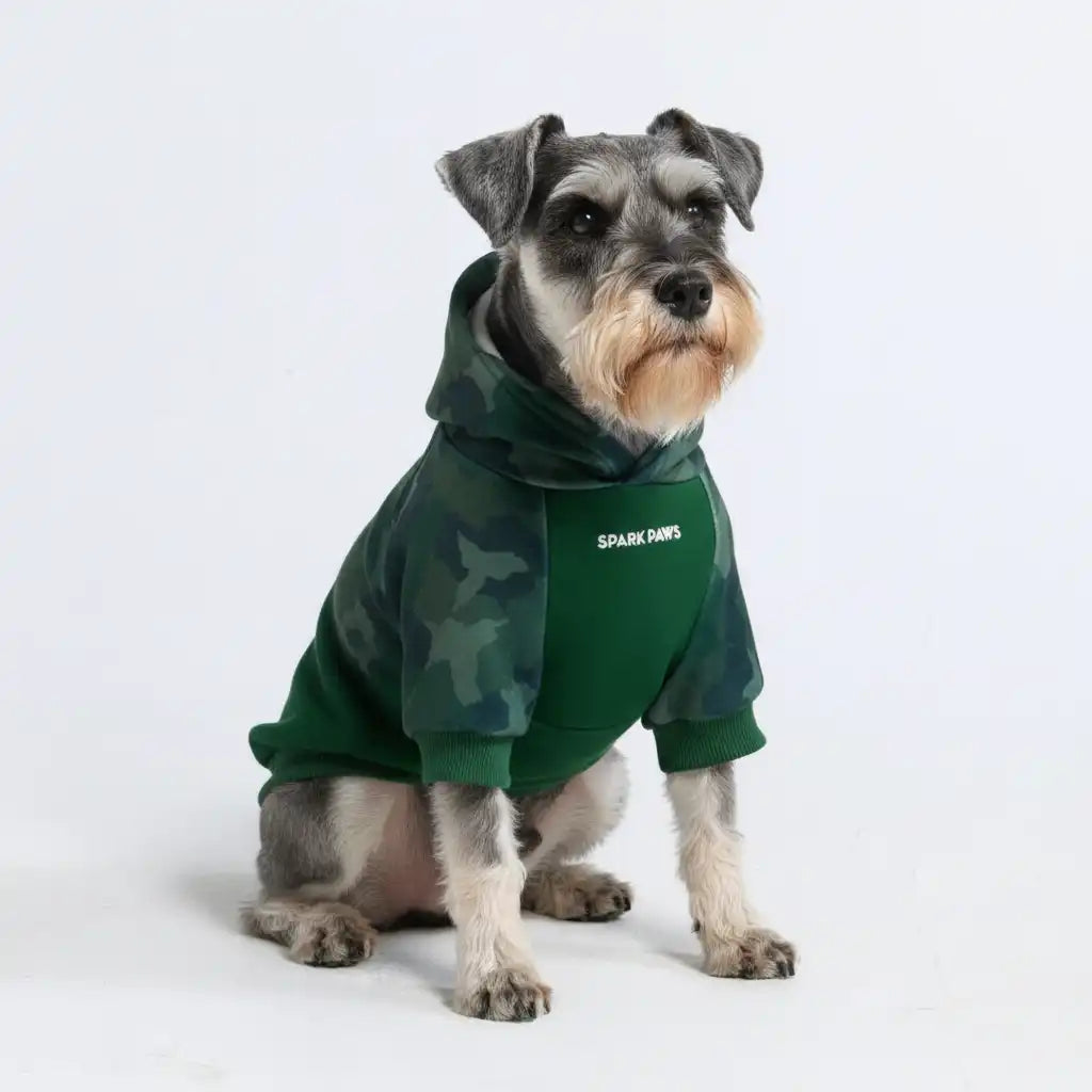 sparkpawsmaut.com