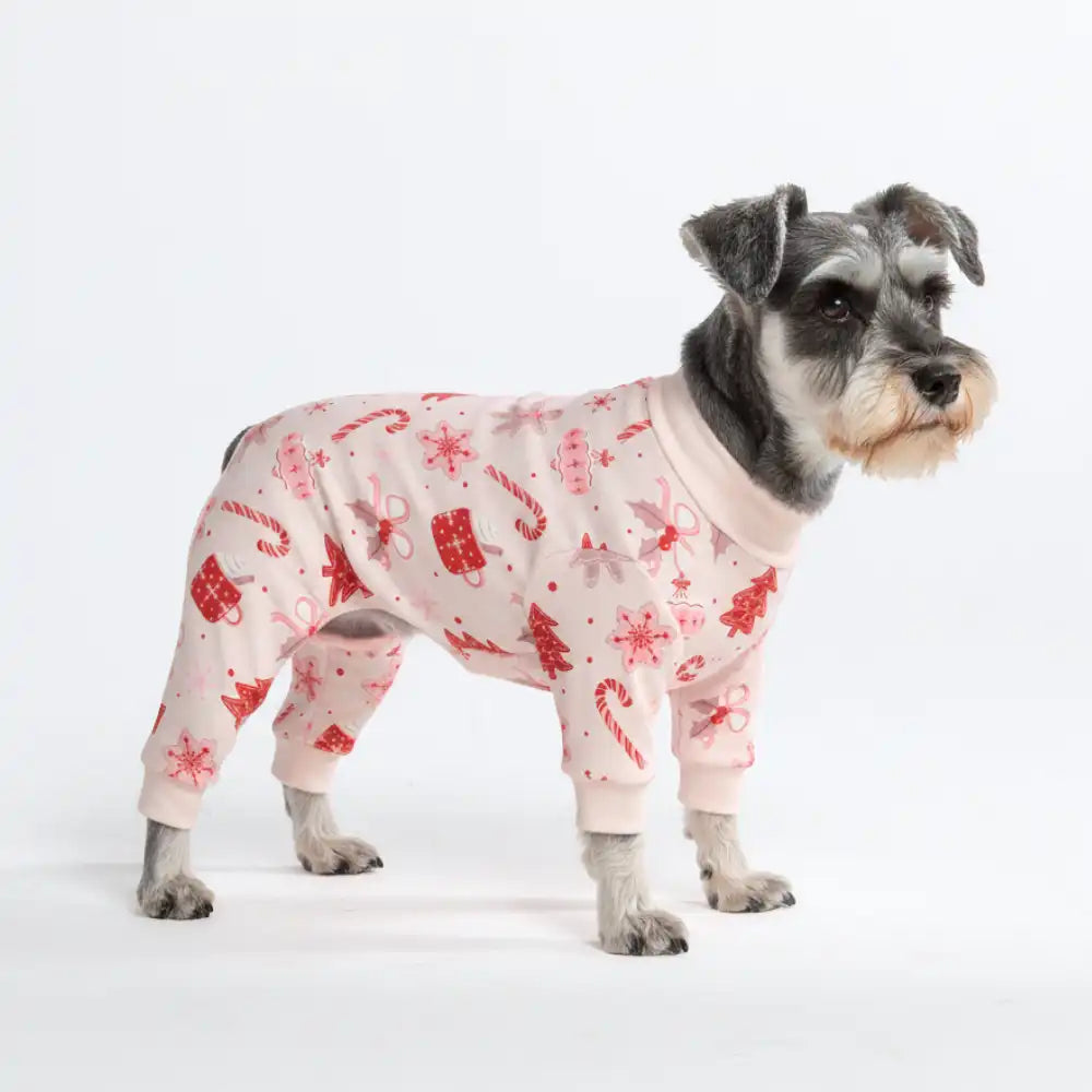 sparkpawsmaut.com