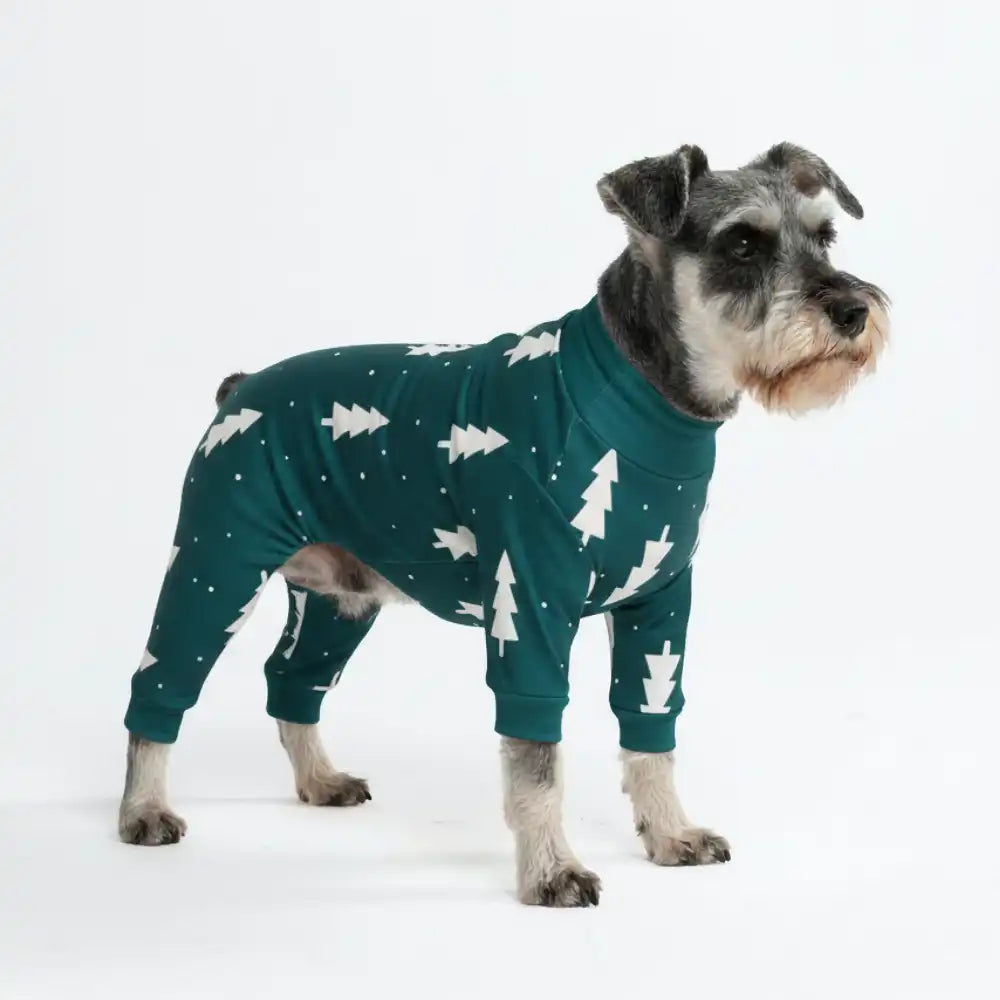 sparkpawsmaut.com