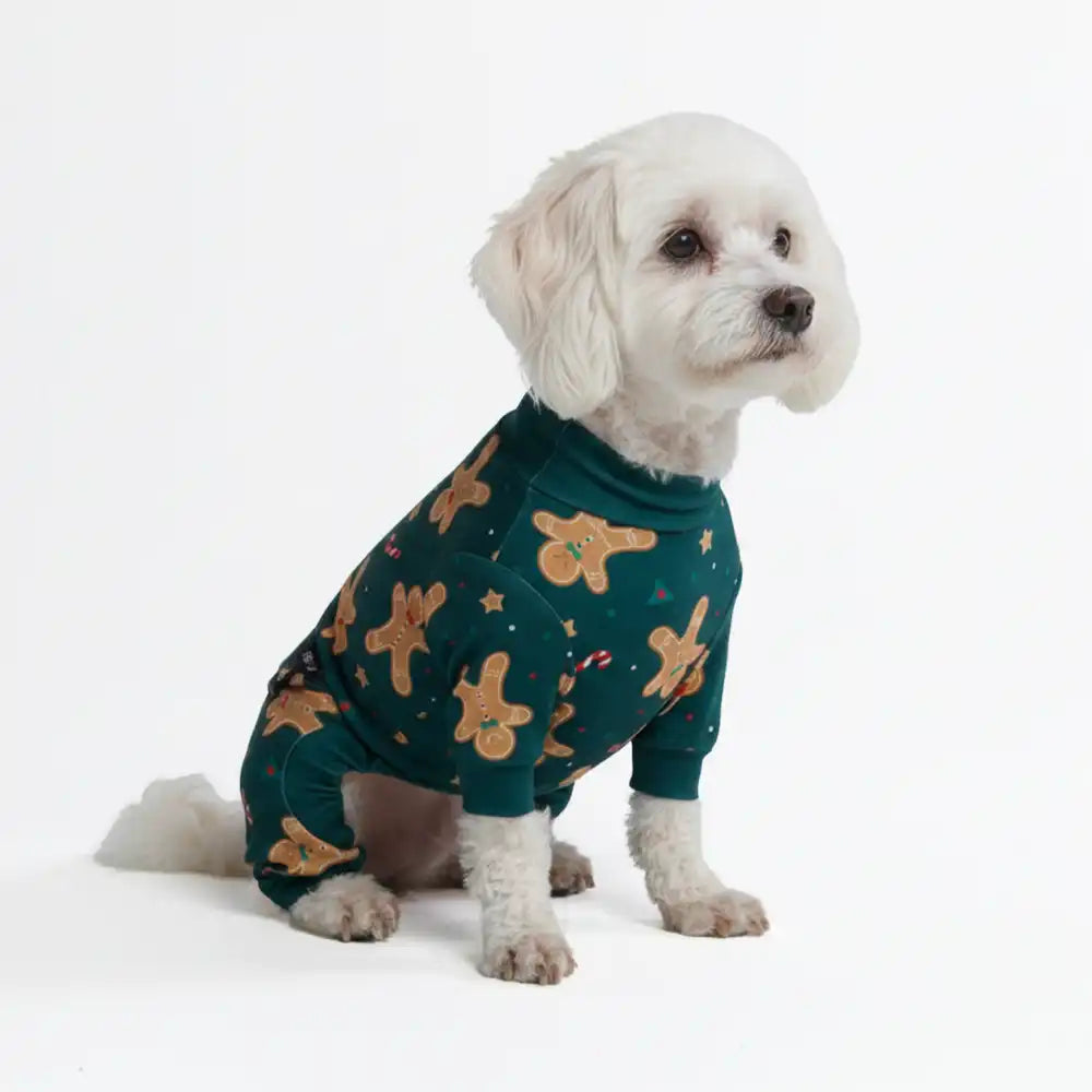 sparkpawsmaut.com