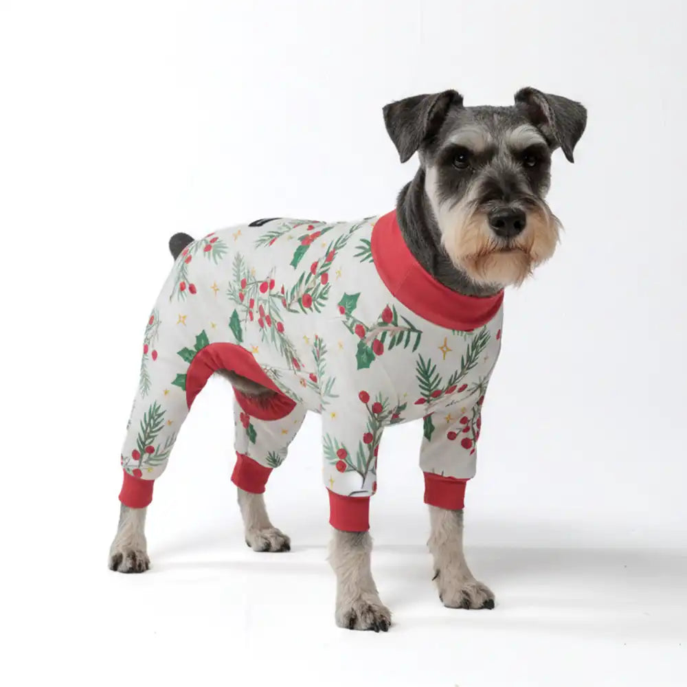 sparkpawsmaut.com