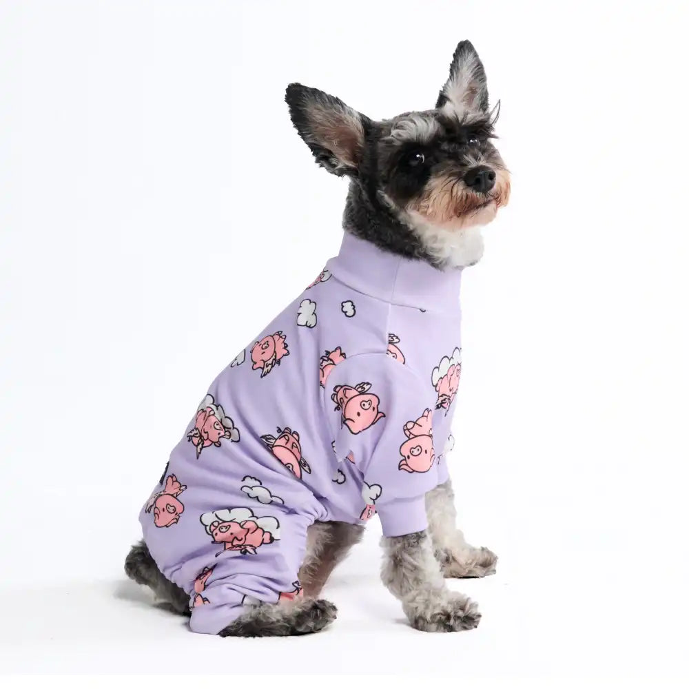sparkpawsmaut.com