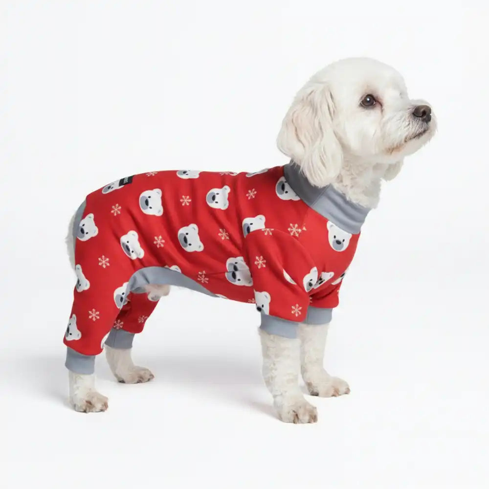sparkpawsmaut.com