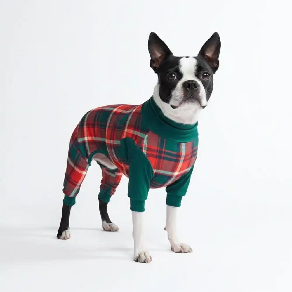 sparkpawsmaut.com
