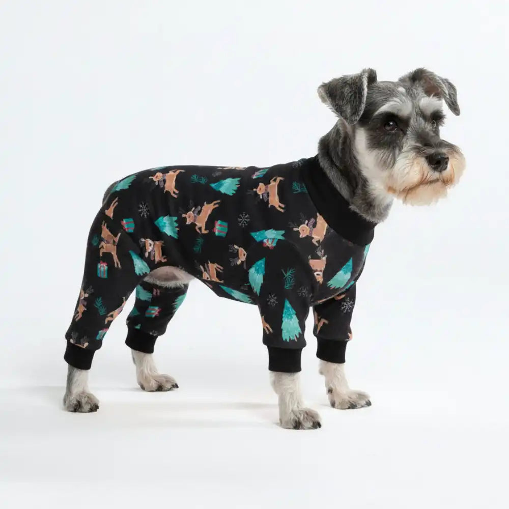 sparkpawsmaut.com