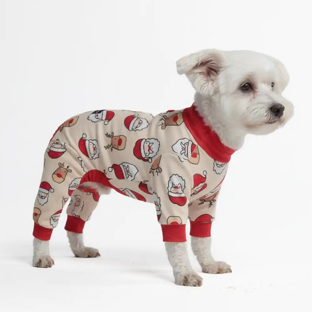 sparkpawsmaut.com