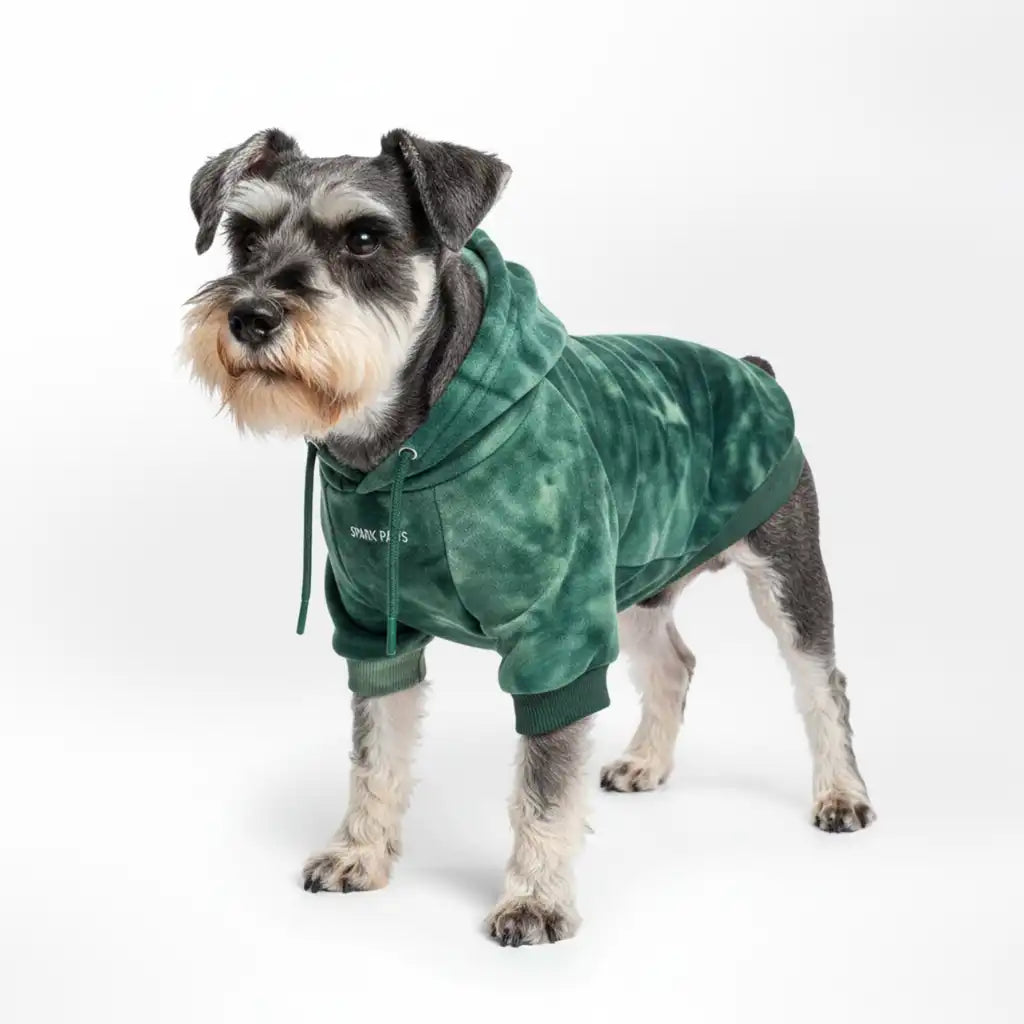 sparkpawsmaut.com