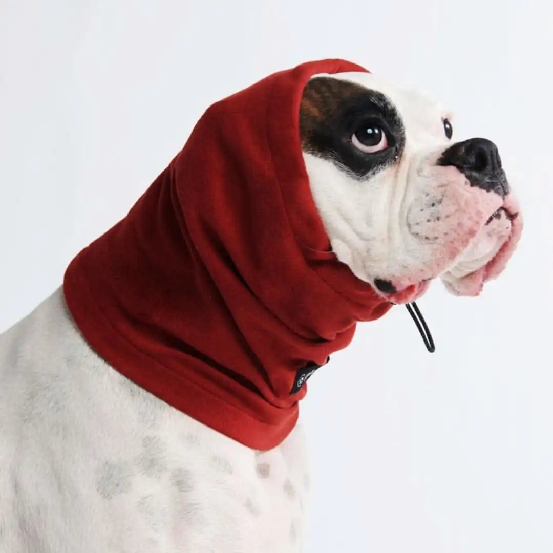 sparkpawsmaut.com