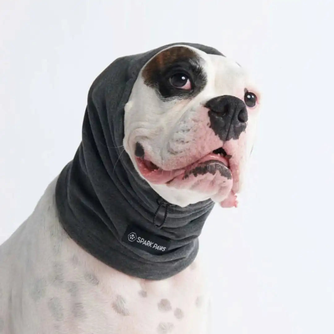 sparkpawsmaut.com