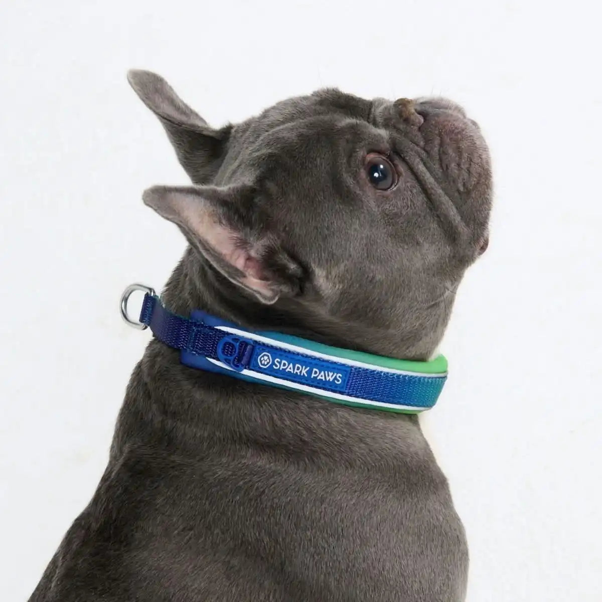 sparkpawsmaut.com