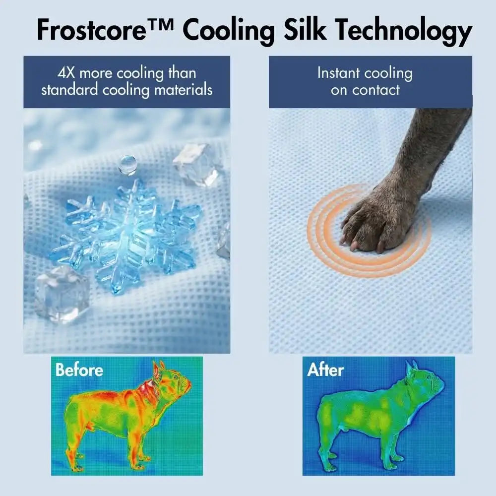 sparkpawsmaut.com
