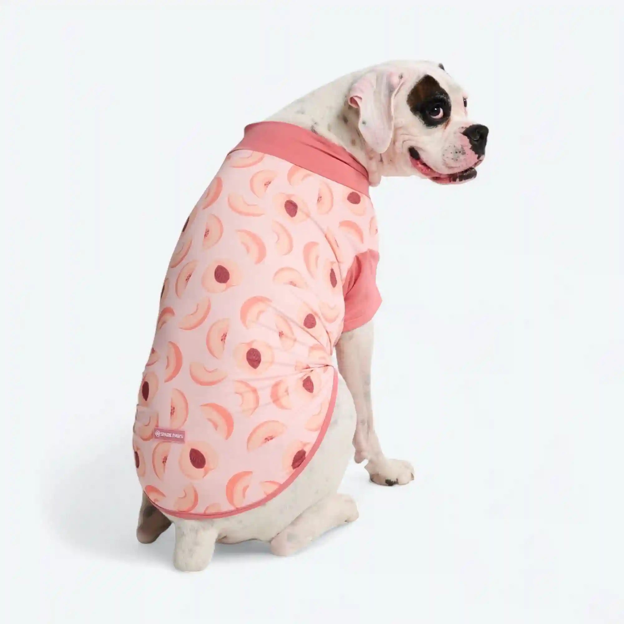 sparkpawsmaut.com
