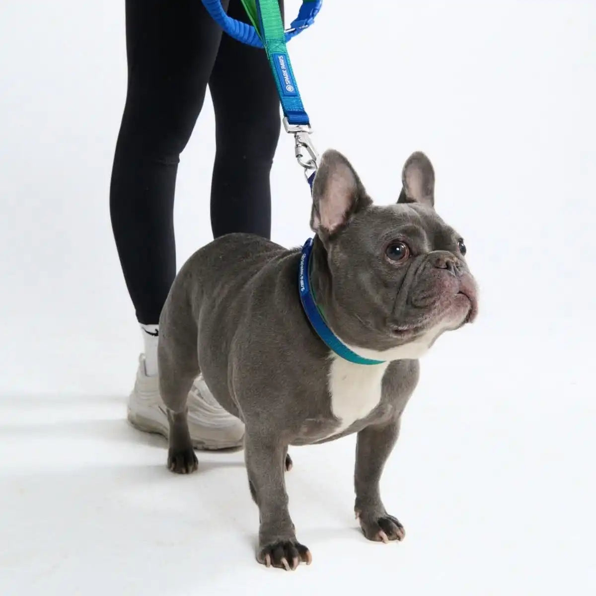sparkpawsmaut.com